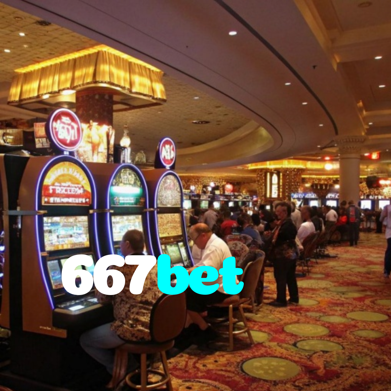 667bet