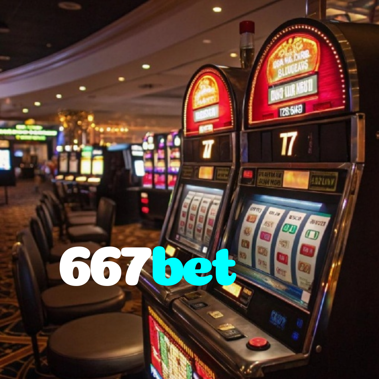 667bet