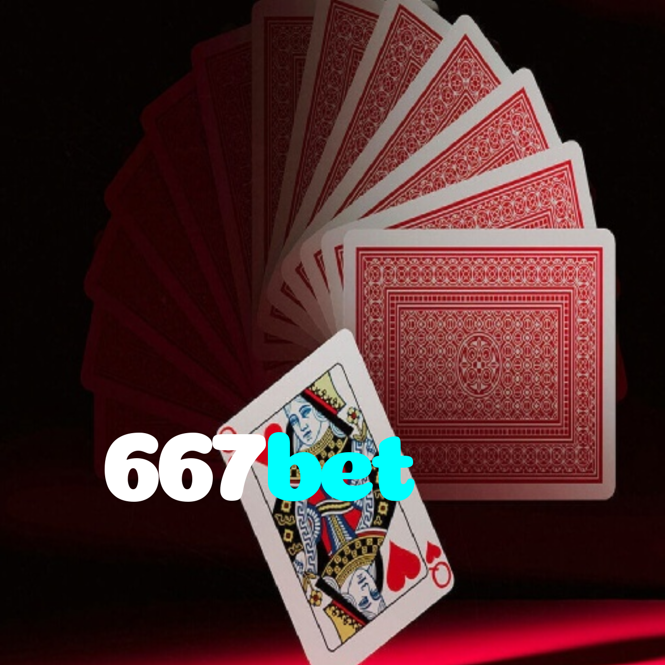 667bet