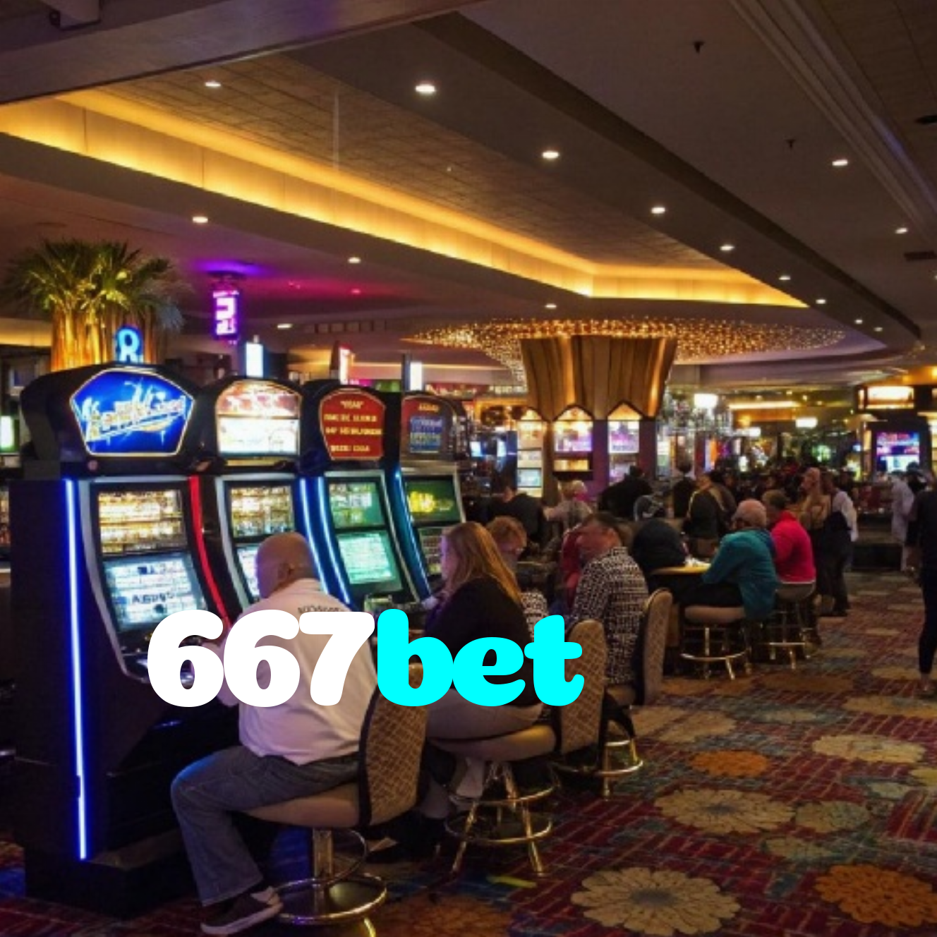 667bet